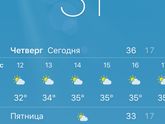 Осень, я тебя хочу!