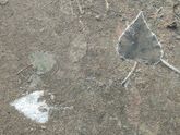 Ленивая мать)