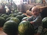 Мою нашли не в