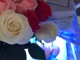 Самая трогательная в моей жизни встреча❤️