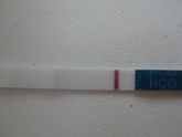 Задержка уже 3 дня, 34 дц из 31.