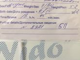 Наконец дождались🙏