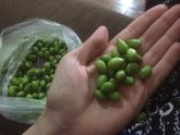 С самого начала беременности
