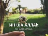 Даст Аллах ,дотянем хотябы