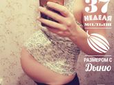 Ровно 37 недель
