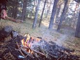 Поездка в Орловское полесье