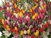 Всех с праздником!!!🌺🌺🌺
