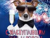 С Новым Годом 🎉🎈🍾🎄