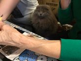 Наш котей??