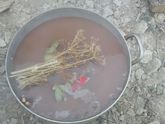 Мусульманки ?????