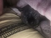Для настроения💕😳