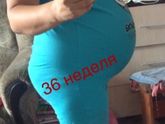 36,4 недели