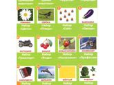 Игрушки и развивайки
