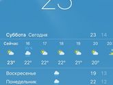 Хочу гулять