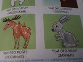 Раскрашивают ли трехлетки?