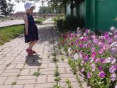 фотопост :)