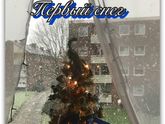 Зима ❄️