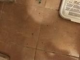 Нормально я коту ранку