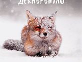 1 декабря!!!