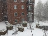 Замело Англию :)