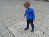 Дарвиновский музей, 28.06.2017, часть 1.