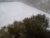 Осень ?