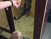 Моя маленькая крошка))) или наше знакомство и животными))