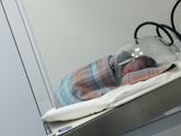 Анкета родов??