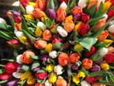 Девчонки, поздравляю всех с праздником ! 🌸💮🌼