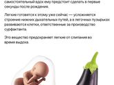 Баклажанчик мой☺️?