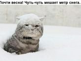 Всех с весной!