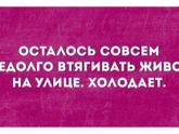 Ура!Холодает😂