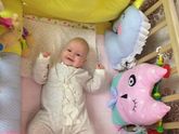 Лапульку вам в ленту❤️