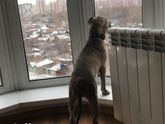 Наши тушки?❤️Кот живет сам