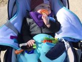 Про нашу коляску Stokke xplory