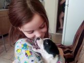 Собачий ребенок....