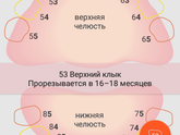 Зуууубы ??