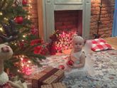 Уже новогоднее настроение🎄
