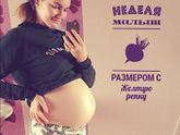 27 недель