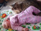 2 месяца