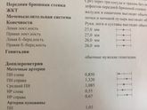 2 скрининг