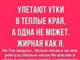 Улетают утки ☺☺☺