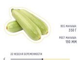 Пошла 22ая неделя!