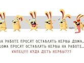 Просто так) немножко юмора))