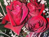 Сегодня день рождения 18
