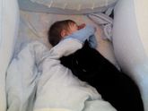 Кошку переклинило/////
