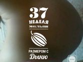 37 недель