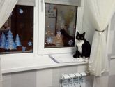 Вечер, вечерок?