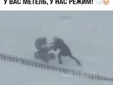 ??????