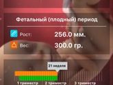 30.07.17
